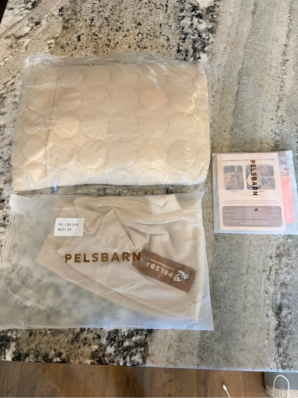 Ice Silk Cooling Pillow and Sheet Set in Beige